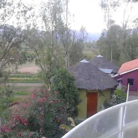La Pasarela Hotel Tarija Ngoại thất bức ảnh