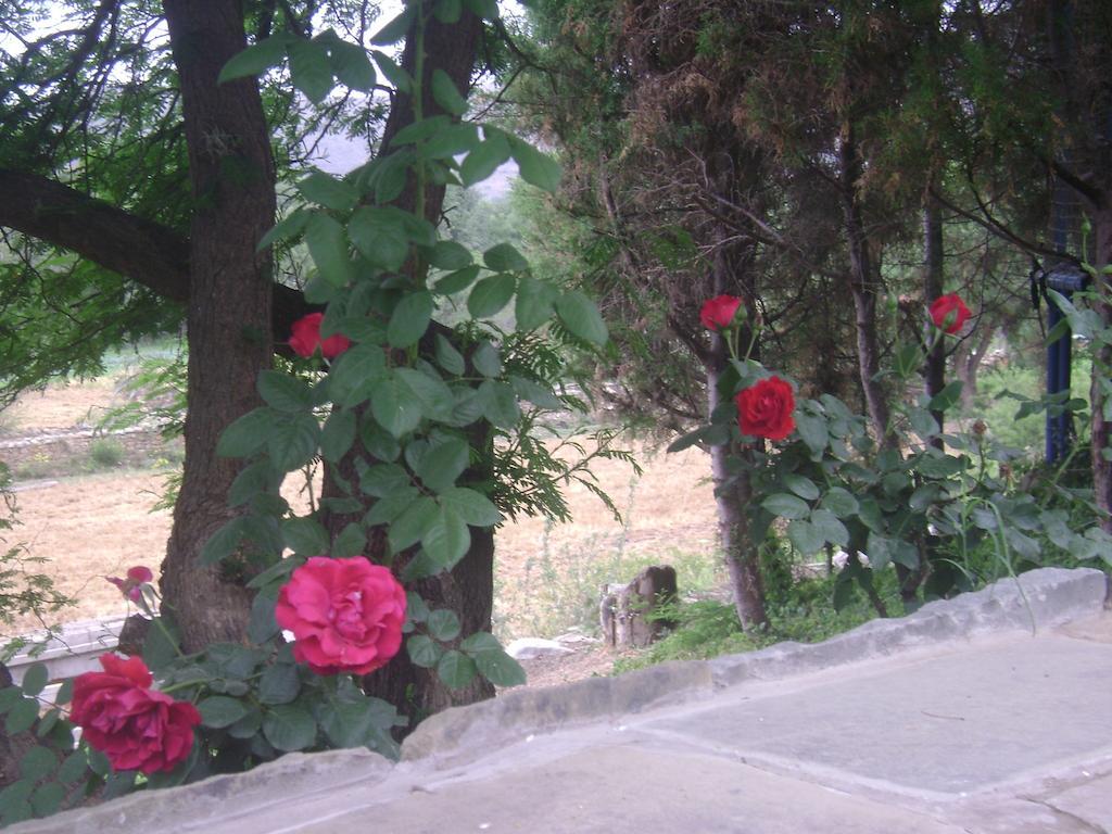 La Pasarela Hotel Tarija Ngoại thất bức ảnh